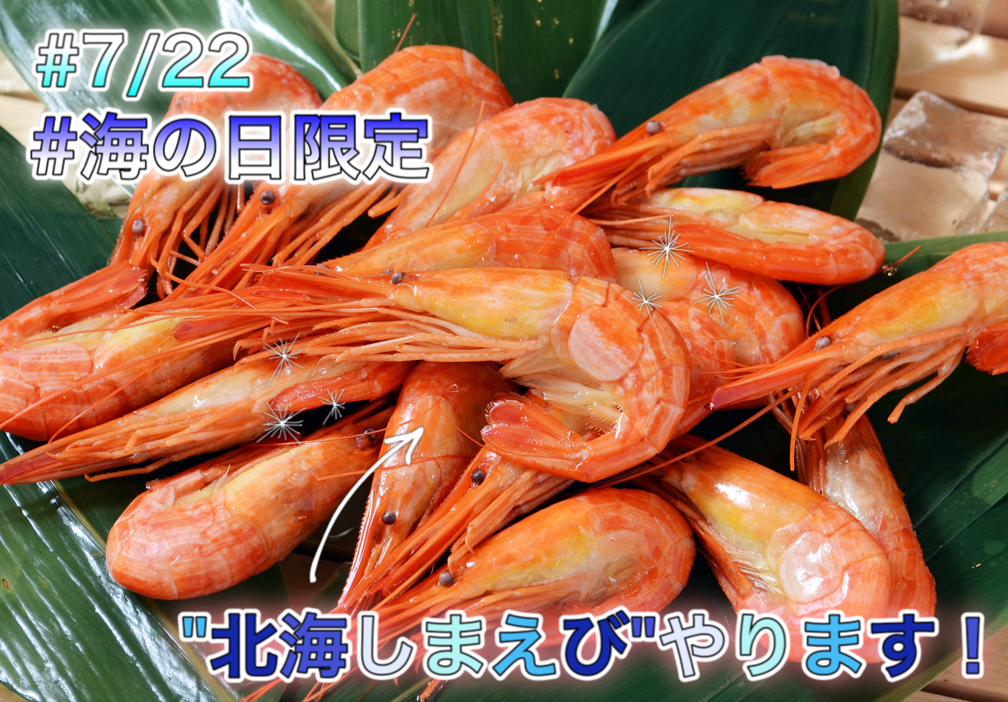 海の日限定 今年は花まるで 北海しまえび を食べるしかない ブログ 回転寿司 根室花まる 町のすし家 四季花まる