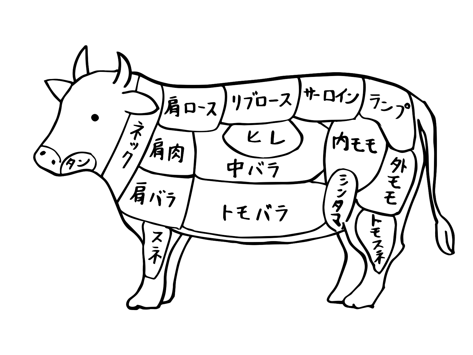 牛肉　部位.png